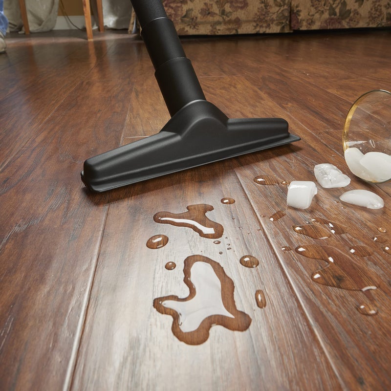 SHOPVAC فوهة Shop-Vac 9196600 للرطوبة والجفاف، عرض 10 بوصة × قطر 1.5 بوصة، تشمل محول بقطر 1.25 بوصة، تنظيف فعال على الأسطح الصلبة والسجاد، (عبوة واحدة) - Image 5